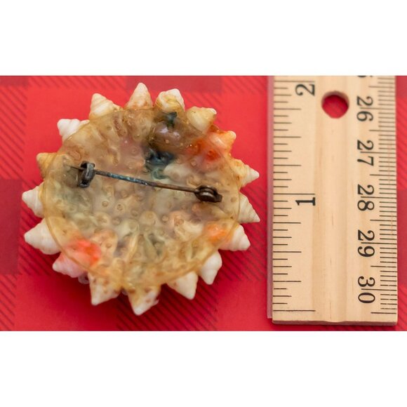 Vintage Art Nouveau Shells Light Brown Brooch - O20 - Picture 2 of 2